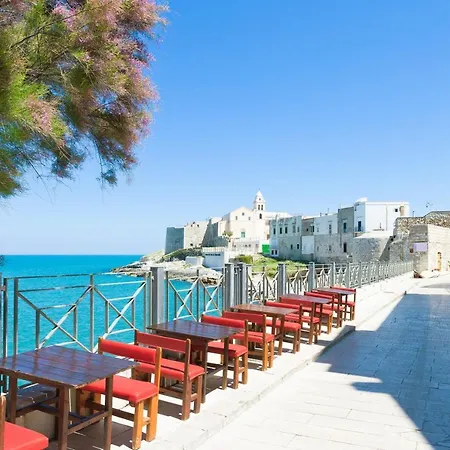 Iremar E3 - Myho Casa